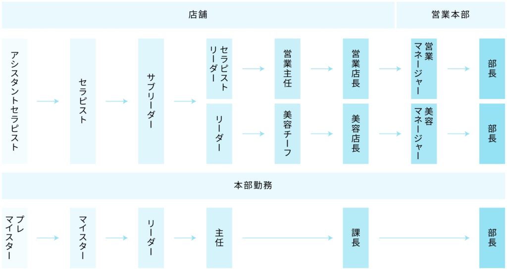 株式会社モデスティのキャリアアップの道