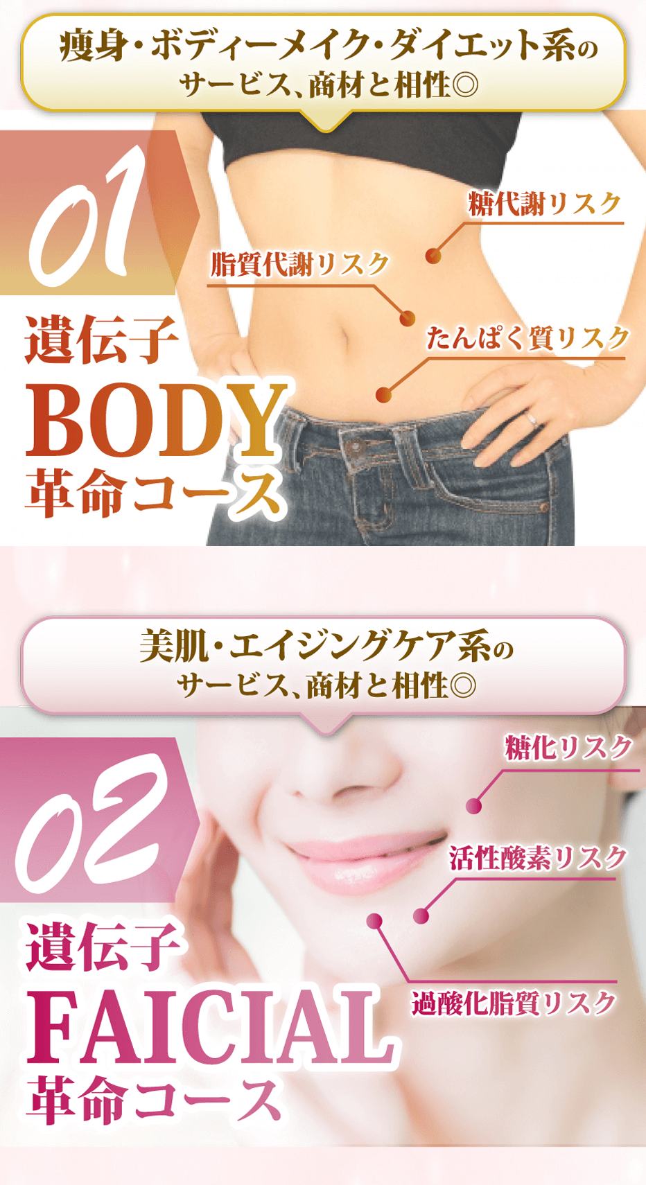 01遺伝子BODY革命コース・02遺伝子FAICIAL革命コース